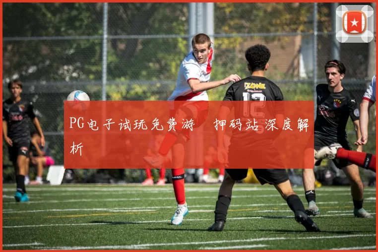 PG电子试玩免费游戲押码站 深度解析