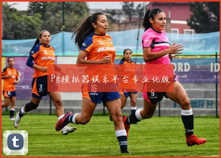 Pg模拟器娱乐平台专业化版