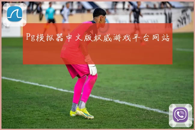 Pg模拟器中文版权威游戏平台网站