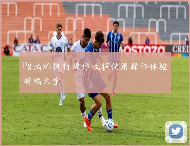 Pg试玩执行操作流程使用操作体验游戏天堂