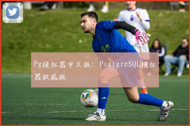 Pg模拟器中文版：PostgreSQL模拟器权威版