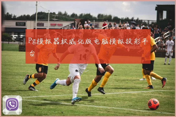 Pg模拟器权威化版电脑模拟投彩平台