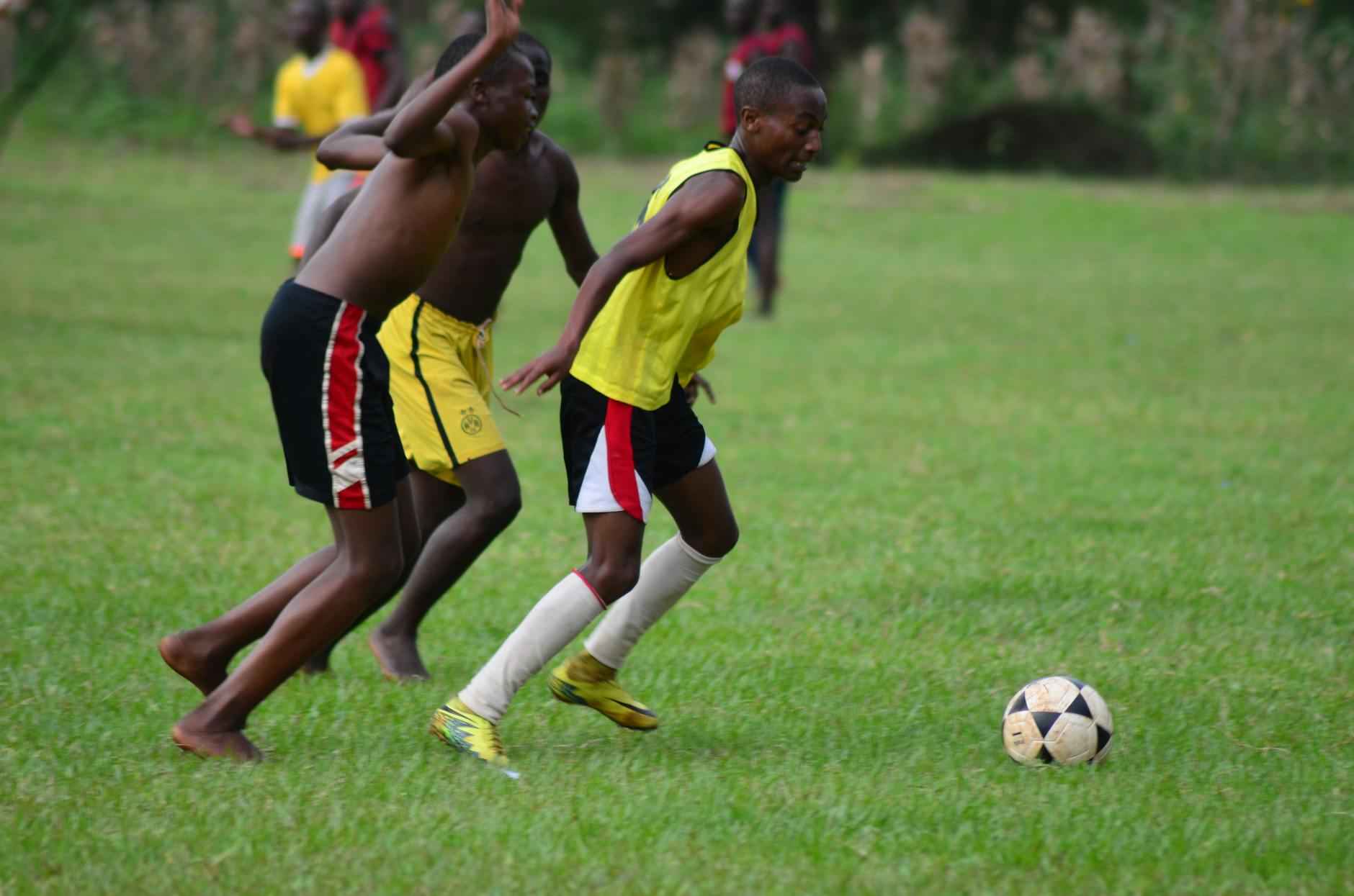 Pg模拟器：PostgreSQL数据库模拟工具